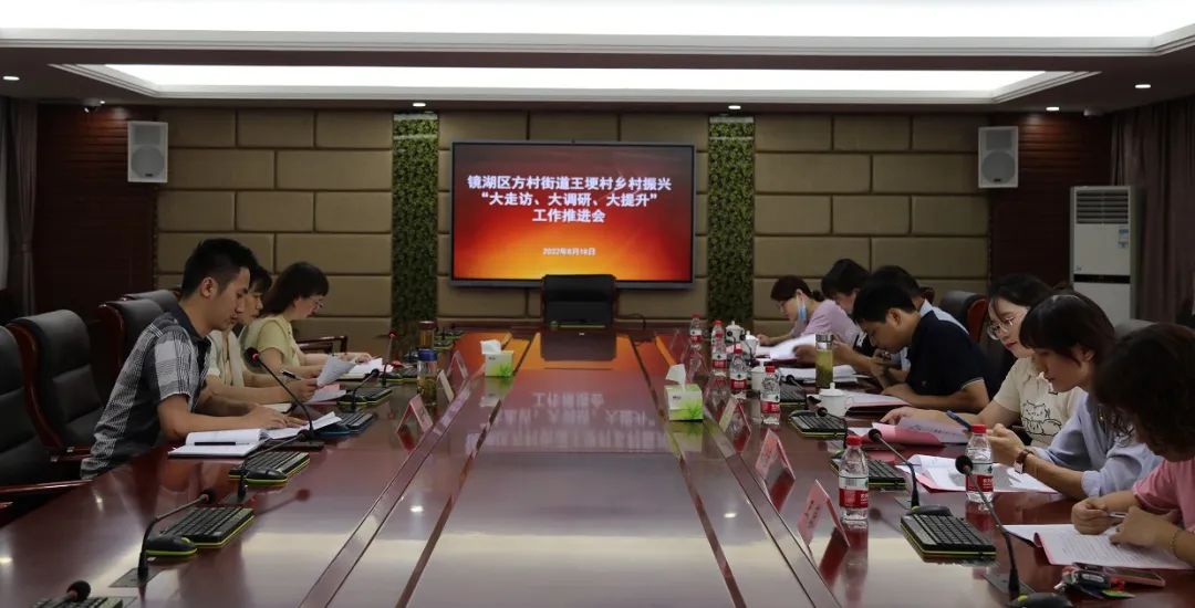 深入走访调研，助力乡村振兴——镜湖区人民检察院扎实开展乡村振兴“大走访、大调研、大提升”活动